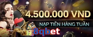 8qbet