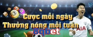 8qbet
